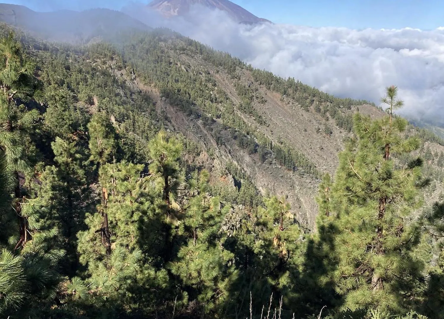 厄尔梅达诺Casa Papaya别墅 0*, 厄尔梅达诺